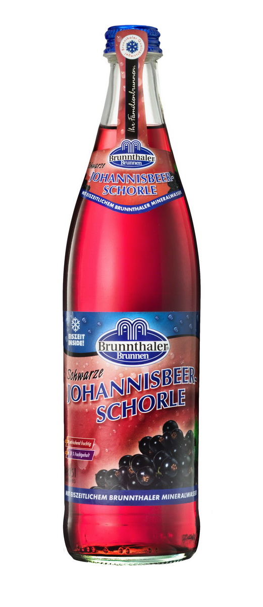 Schwarze Johannisbeer-Schorle NEU: 20x0,5l | Getränke | Einkaufen ...