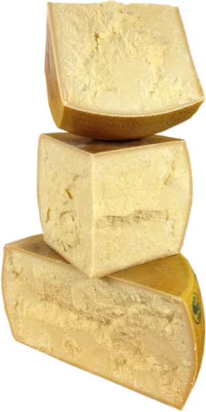Parmigiano Reggiano 24 Monate Kaese kaufen shop onlineversand von kaeseversand24.de regional im Ladkreis Dillingen a.d.Donau