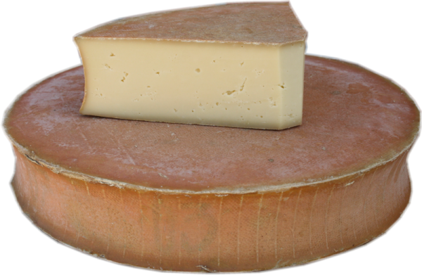 Abondance fermier AOC Kaese kaufen shop onlineversand von kaeseversand24.de regional im Ladkreis Dillingen a.d.Donau