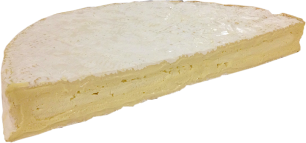 Brie de Meaux Kaese kaufen shop onlineversand von kaeseversand24.de regional im Ladkreis Dillingen a.d.Donau