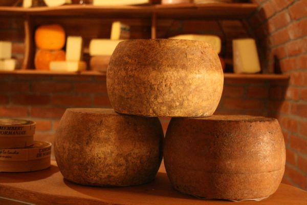 Firma - Hieber - Käsekeller Holzheim