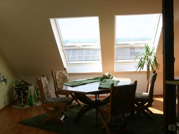 Firma - Ferienwohnung Paffenholz