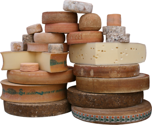 5% Dauerrabatt im Online Shop