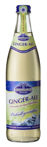 Ginger-Ale 11 x 0,5 Liter