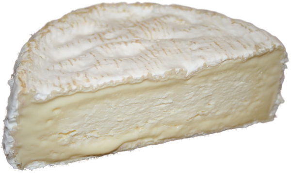Camembert de Normandie Kaese kaufen shop onlineversand von kaeseversand24.de regional im Ladkreis Dillingen a.d.Donau