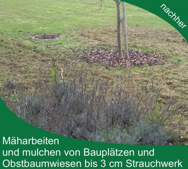 Firma - Gartengestaltung und Pflege - Hieber Alexander