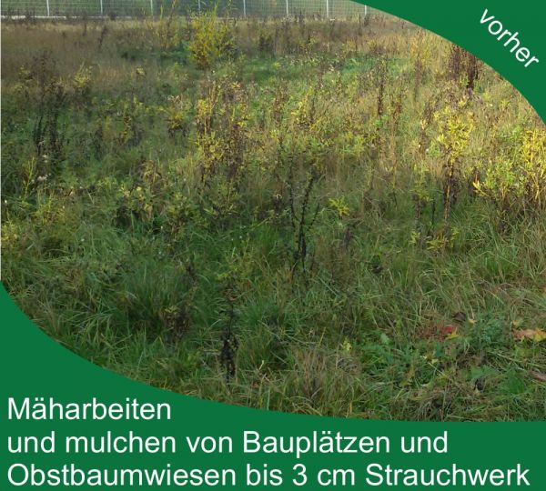 Firma - Gartengestaltung und Pflege - Hieber Alexander